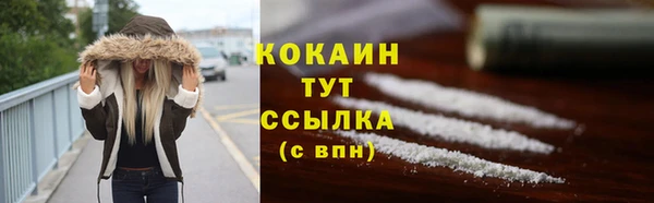 шишки Лагань