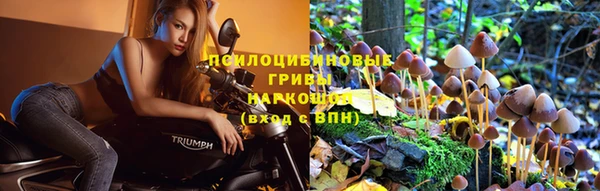 твердый Приозерск