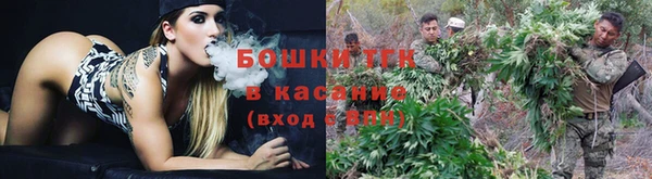 spice Краснослободск