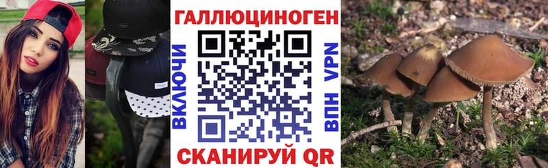 Псилоцибиновые грибы мухоморы  Кумертау 